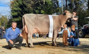 Grand Champion BS_Hofstetters Biver Bonnie_Hofstetter Marco Entlebuch